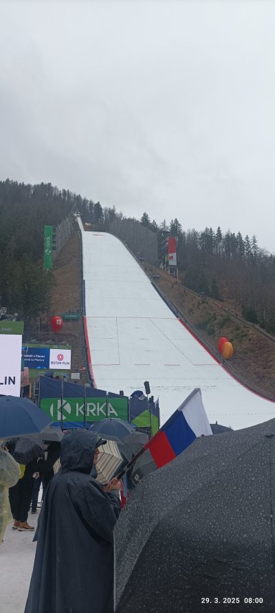 Nepizabno doživrtje